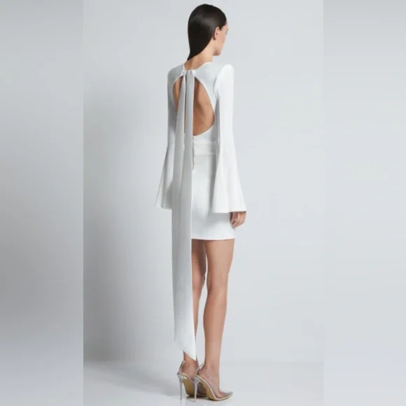 NWT ZHIVAGO THE FAN DRESS Size 6 - Picture 2 of 15